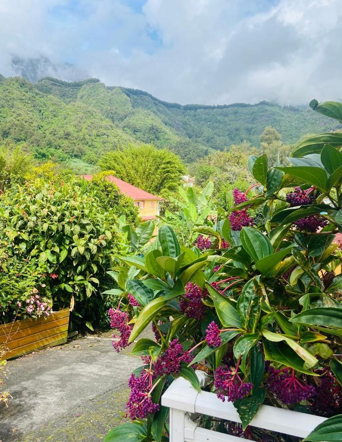 Chambres D'Hotes L'Orchidee Rose Salazie Exterior foto