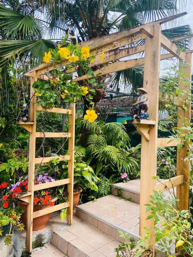 Chambres D'Hotes L'Orchidee Rose Salazie Exterior foto