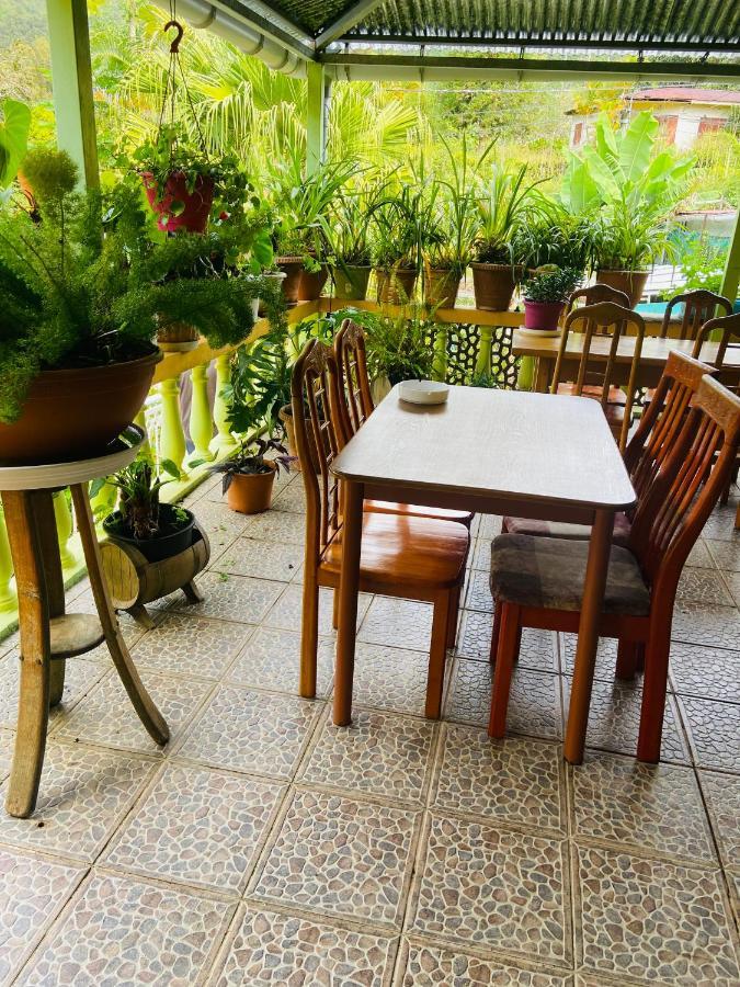 Chambres D'Hotes L'Orchidee Rose Salazie Exterior foto