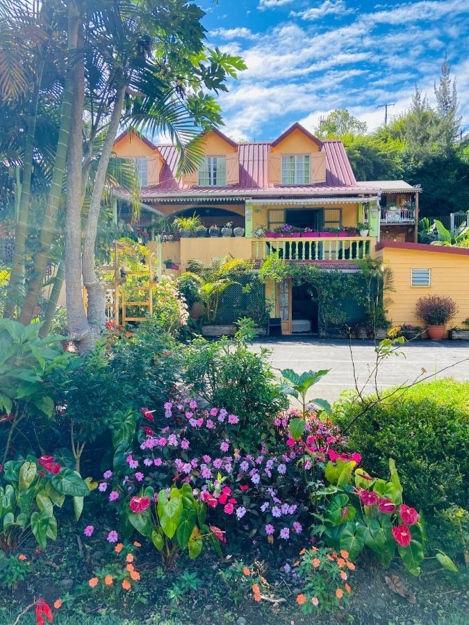 Chambres D'Hotes L'Orchidee Rose Salazie Exterior foto