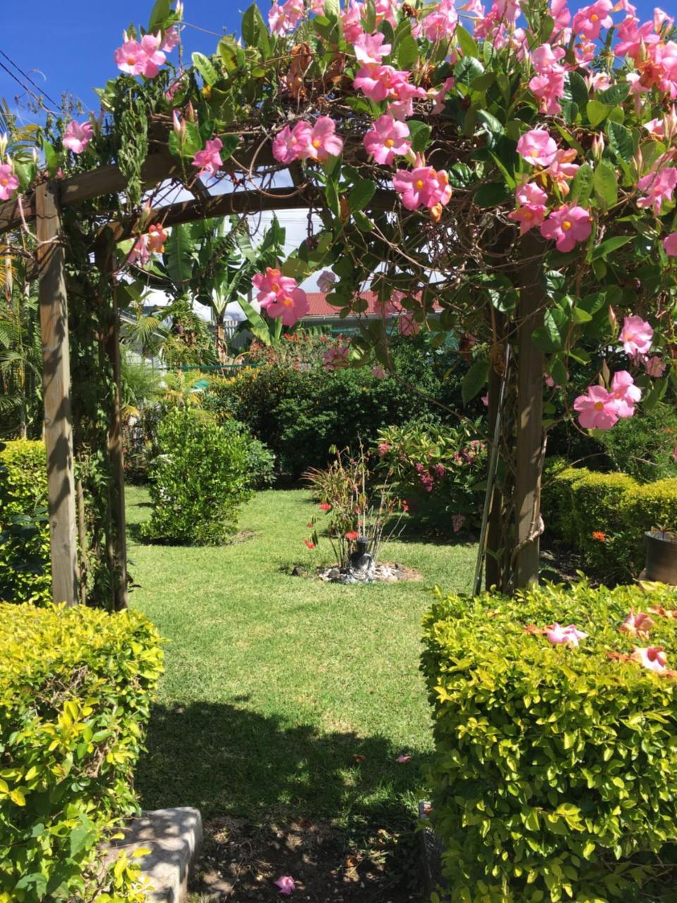 Chambres D'Hotes L'Orchidee Rose Salazie Exterior foto